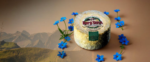 Zillertaler Käse: Herkunft, Sorten & Jausn-Tipps - TIROLISH